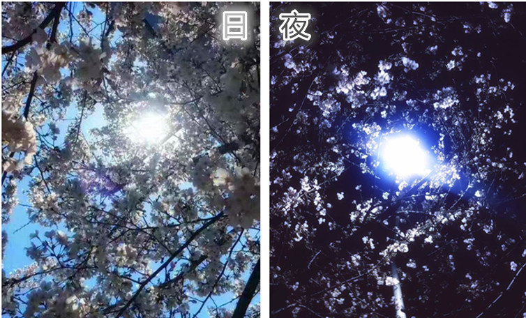 1698974377484134.jpg